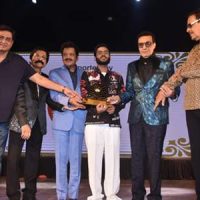 At  HINDUSTAN RATNA AWARD 2024 Some Beauties Were Crowned With Global India Platinum / Diamond &  Hindustani Gold In Respective Categories